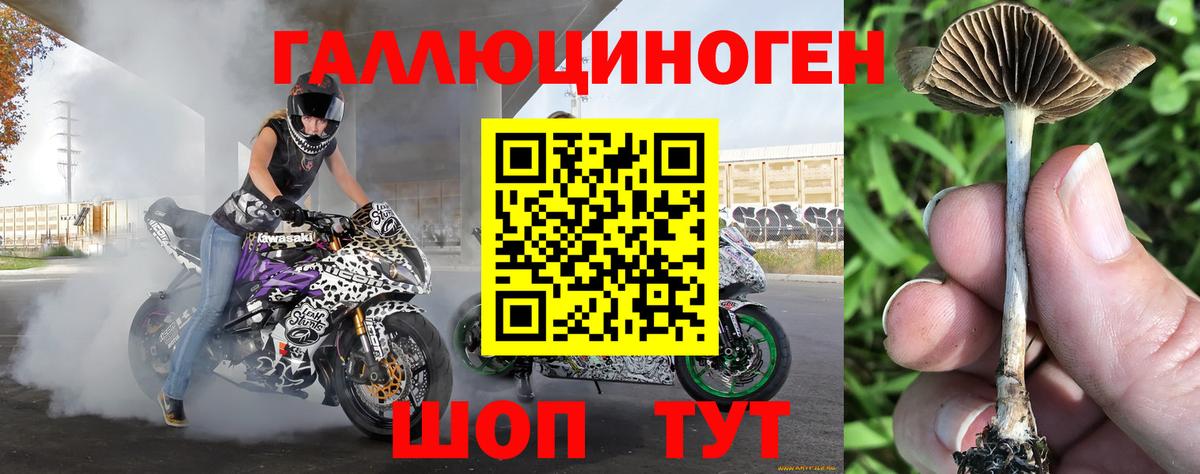 Псилоцибиновые грибы GOLDEN TEACHER  Вход с VPN  Новоалтайск 